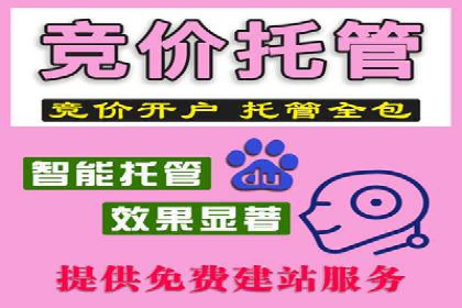 百度SEM案例：精准定位，实现广告效果最大化